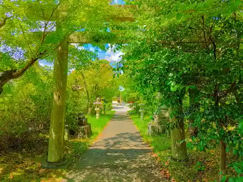 八幡神社（吉根南）の鳥居