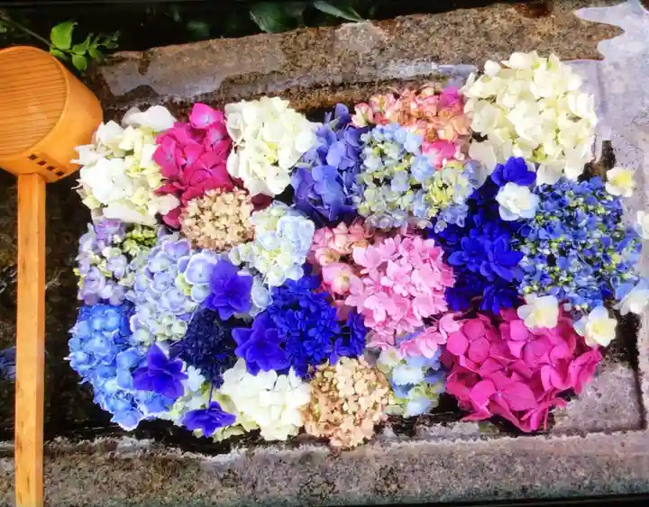 本郷氷川神社(東京都)
