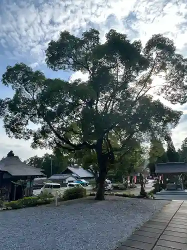 善楽寺(高知県)