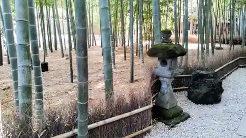 報国寺(神奈川県)