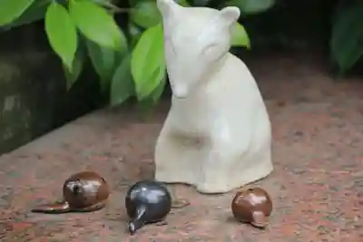 開成山大神宮の手水舎