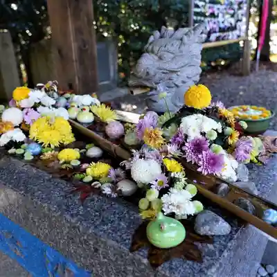 滑川神社 - 仕事と子どもの守り神の手水舎