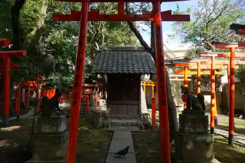 三囲神社の鳥居