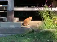 寺庭十一面観世音堂の動物