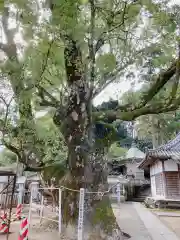 薬王寺(徳島県)