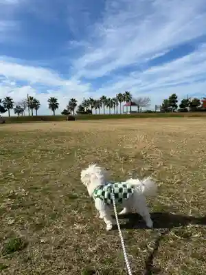 八雲神社(兵庫県)