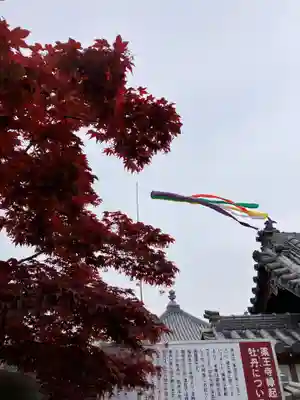 真言宗　善通寺派　薬王寺(香川県)