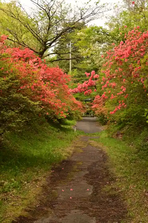 赤城神社(三夜沢町)(群馬県)