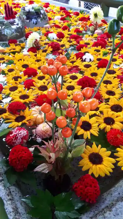 住吉神社の手水舎