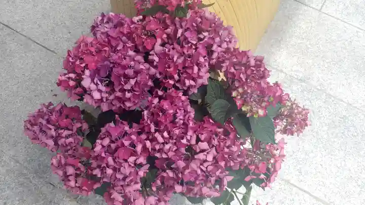 筥崎宮(福岡県)