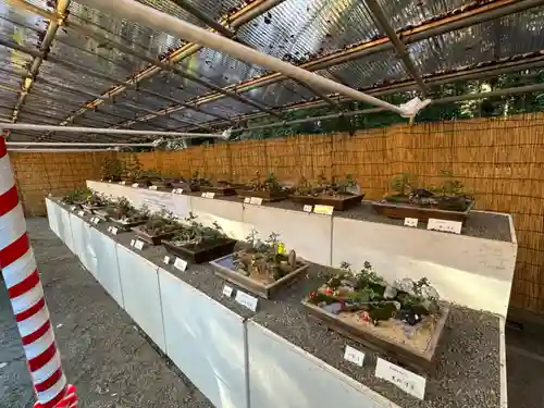 明治神宮(東京都)