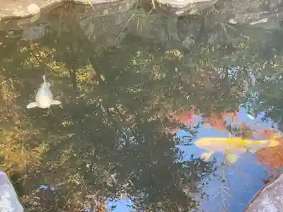 宇賀神社(神奈川県)