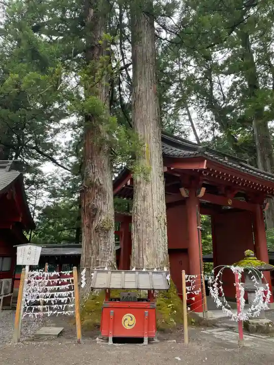 日光二荒山神社の{uncategorized: "未分類", other: "その他", undefined: "問題あり", building: "その他建物", grave: "お墓", sacred_gate: "鳥居", guardian: "狛犬", statue: "像", buddha: "仏像", history: "歴史", nature: "自然", garden: "庭園", animal: "動物", pagoda: "塔", temizu: "手水舎", mountain_gate: "山門・神門", sanctuary: "本殿・本堂", subordinate: "末社・摂社", art: "芸術", scenery: "景色", jizo: "地蔵", ema: "絵馬", goshuin: "御朱印", omikuji: "おみくじ", items: "授与品その他", amulet: "お守り", goshuincho: "御朱印帳", eats: "食事", festival: "お祭り", votive_dance: "神楽", shichigosan: "七五三参", wedding: "結婚式", experience: "体験その他", initially: "初詣", around: "周辺", anti_infection: "感染症対策"}