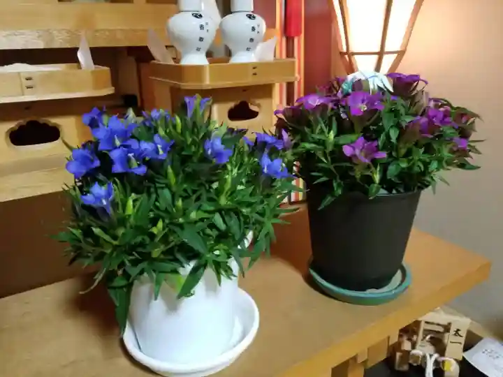 伏木香取神社(茨城県)