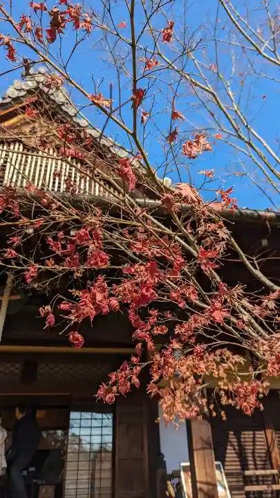 勝林寺(京都府)