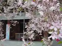 鈴鹿明神社(神奈川県)