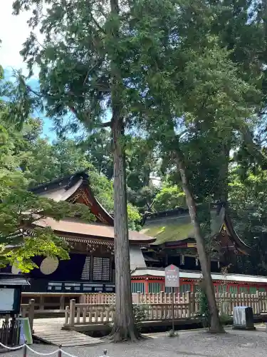 鹿島神宮の{uncategorized: "未分類", other: "その他", undefined: "問題あり", building: "その他建物", grave: "お墓", sacred_gate: "鳥居", guardian: "狛犬", statue: "像", buddha: "仏像", history: "歴史", nature: "自然", garden: "庭園", animal: "動物", pagoda: "塔", temizu: "手水舎", mountain_gate: "山門・神門", sanctuary: "本殿・本堂", subordinate: "末社・摂社", art: "芸術", scenery: "景色", jizo: "地蔵", ema: "絵馬", goshuin: "御朱印", omikuji: "おみくじ", items: "授与品その他", amulet: "お守り", goshuincho: "御朱印帳", eats: "食事", festival: "お祭り", votive_dance: "神楽", shichigosan: "七五三参", wedding: "結婚式", experience: "体験その他", initially: "初詣", around: "周辺", anti_infection: "感染症対策"}