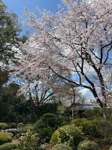 安楽寺(京都府)