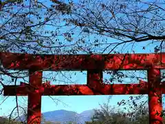 子檀嶺神社(長野県)