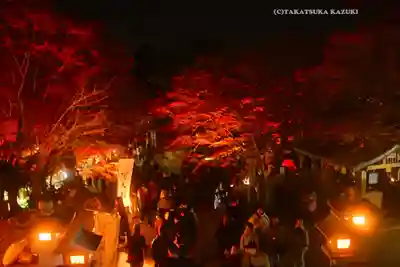 大山阿夫利神社(神奈川県)