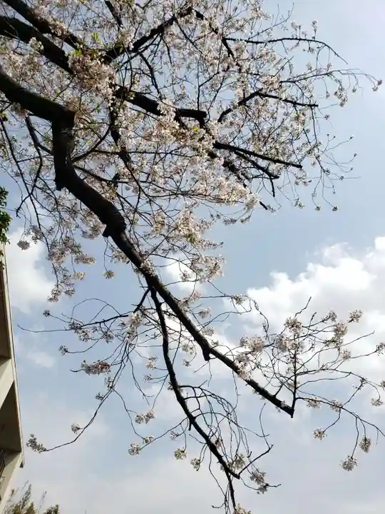 麻布氷川神社(東京都)