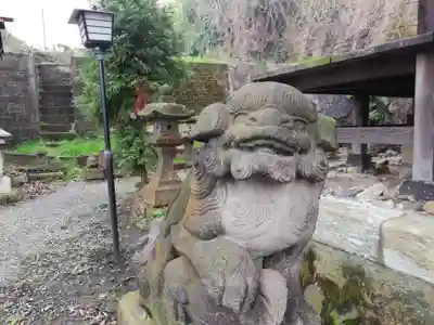 杉山社（帷子町杉山社・久保杉山神社）の狛犬