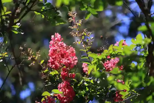 田村神社の自然