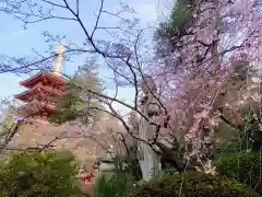 高幡不動尊　金剛寺(東京都)