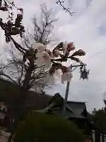 賀羅加波神社の自然