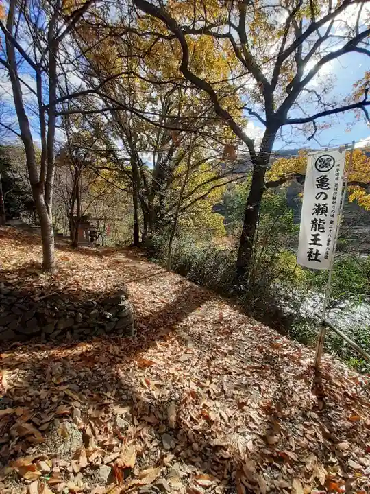 亀の瀬龍王社(大阪府)