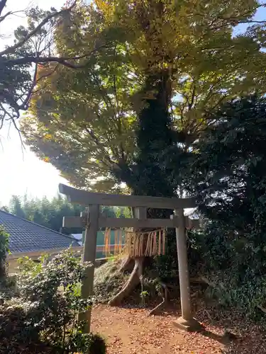 天満宮の鳥居