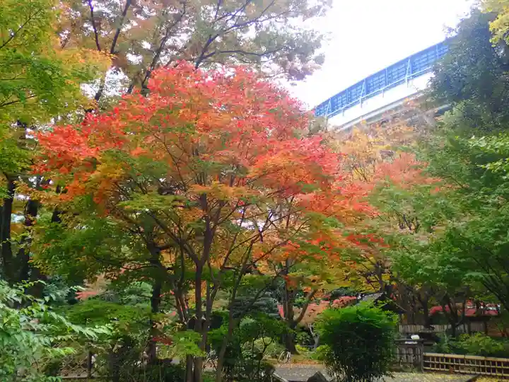 伊勢山皇大神宮(神奈川県)