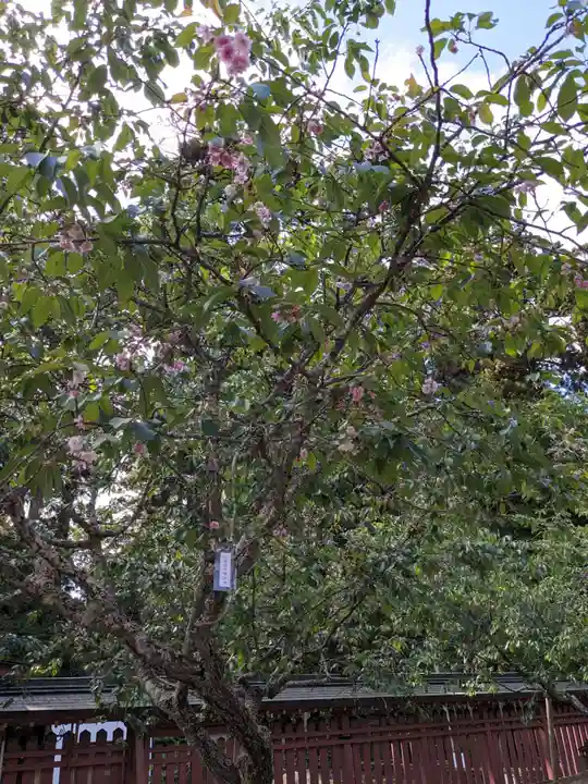 志波彦神社・鹽竈神社(宮城県)