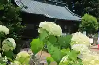 神炊館神社 ⁂奥州須賀川総鎮守⁂の自然