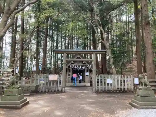 宝登山神社奥宮の本殿