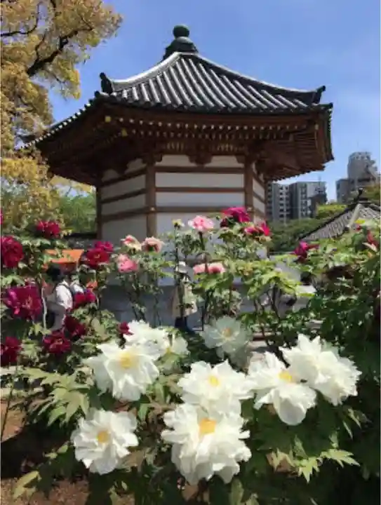 西新井大師総持寺のその他建物