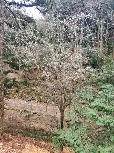 武蔵二宮 金鑚神社(埼玉県)