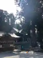 三峯神社(埼玉県)