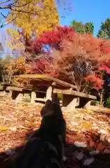 玉野御嶽神社の動物