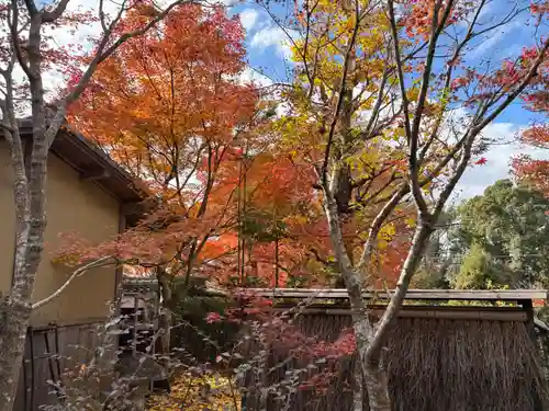 安楽寺(京都府)