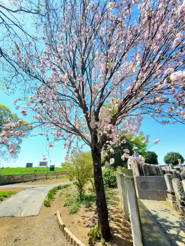 満福寺(栃木県)