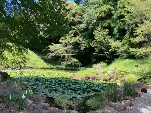 大福寺の庭園