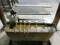 摩利支天堂 禅居庵の手水舎