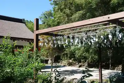 賀茂別雷神社（上賀茂神社）(京都府)