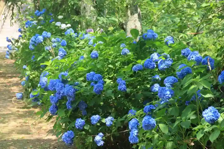 八幡神社の庭園