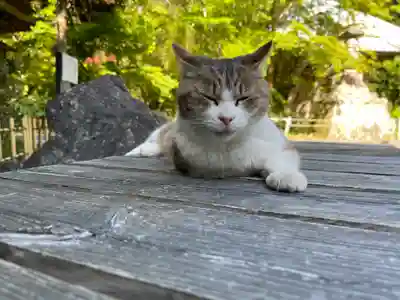小松寺(千葉県)