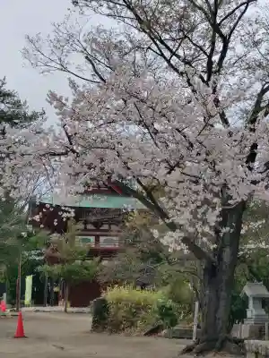 飯野八幡宮の{uncategorized: "未分類", other: "その他", undefined: "問題あり", building: "その他建物", grave: "お墓", sacred_gate: "鳥居", guardian: "狛犬", statue: "像", buddha: "仏像", history: "歴史", nature: "自然", garden: "庭園", animal: "動物", pagoda: "塔", temizu: "手水舎", mountain_gate: "山門・神門", sanctuary: "本殿・本堂", subordinate: "末社・摂社", art: "芸術", scenery: "景色", jizo: "地蔵", ema: "絵馬", goshuin: "御朱印", omikuji: "おみくじ", items: "授与品その他", amulet: "お守り", goshuincho: "御朱印帳", eats: "食事", festival: "お祭り", votive_dance: "神楽", shichigosan: "七五三参", wedding: "結婚式", experience: "体験その他", initially: "初詣", around: "周辺", anti_infection: "感染症対策"}