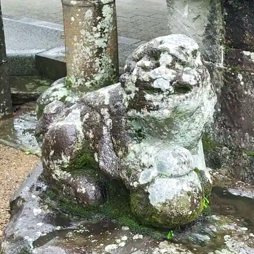 諫早神社（九州総守護  四面宮）の狛犬