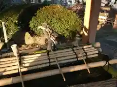 白鳥神社の手水