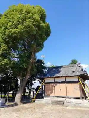 八幡社(須脇八幡社)の本殿・本堂